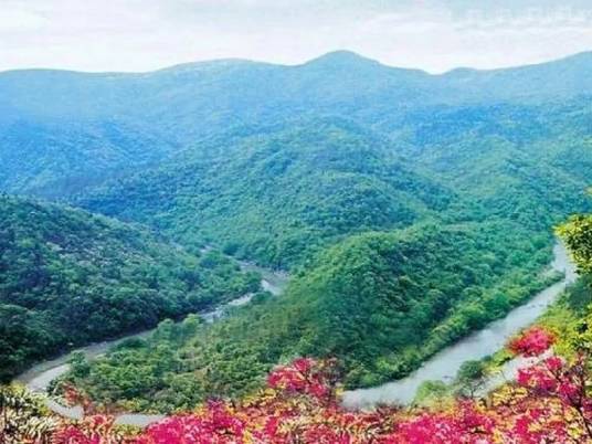 鸳鸯溪（绿林山风景区景点）