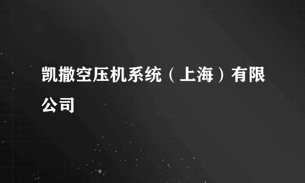 凯撒空压机系统（上海）有限公司