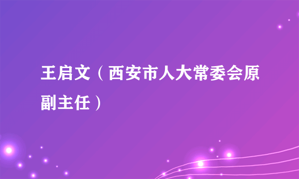 王启文（西安市人大常委会原副主任）