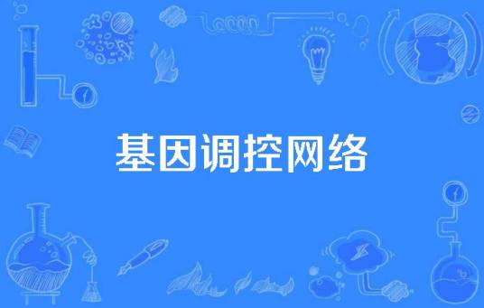 基因调控网络