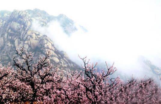 凤凰岭（山东景点）