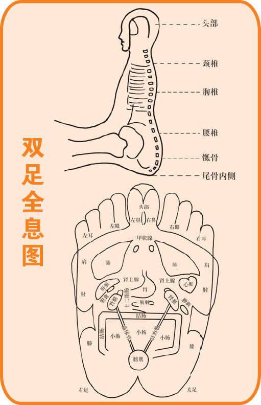 足穴图