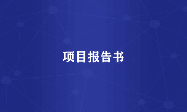 项目报告书