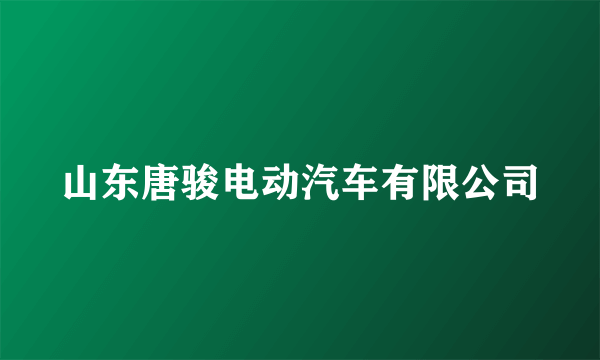 山东唐骏电动汽车有限公司