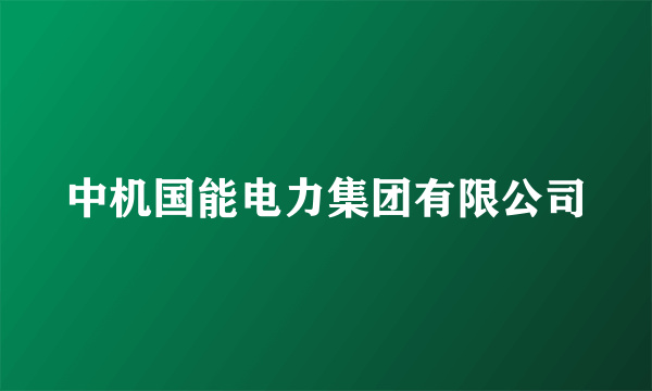 中机国能电力集团有限公司