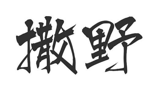 撒野（巫哲创作的纯爱类网络小说）