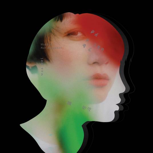 陪着你（魏如萱演唱歌曲）