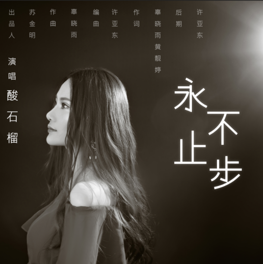 永不止步（2018年酸石榴演唱歌曲）
