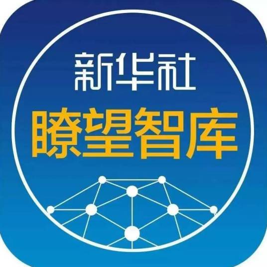 瞭望智库