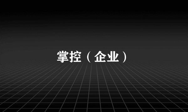 掌控（企业）