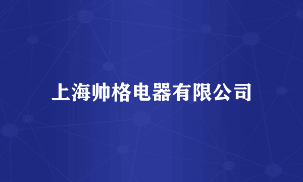 上海帅格电器有限公司