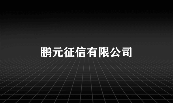 鹏元征信有限公司