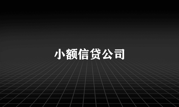 小额信贷公司