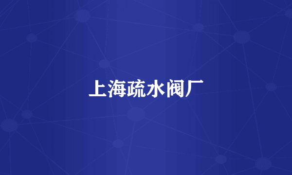 上海疏水阀厂