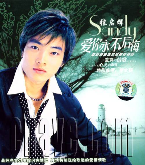 爱你永不后悔（张启辉音乐专辑）