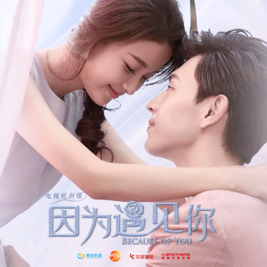 什么样的爱情（张阳阳演唱歌曲）