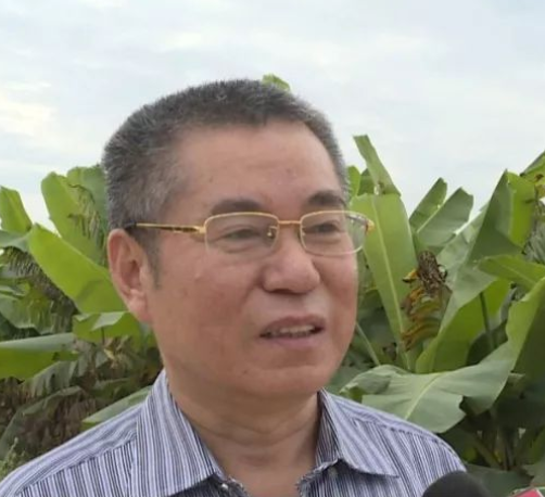 周国辉（华南农业大学教授）