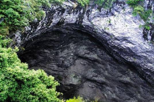 通天箩原始森林