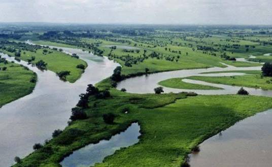 河道管理（环境科学术语）