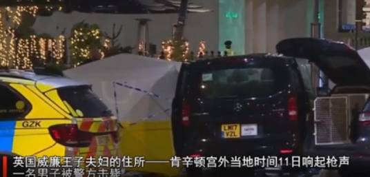 12·11英国肯辛顿宫枪击事件