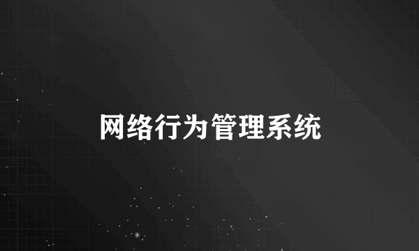 网络行为管理系统