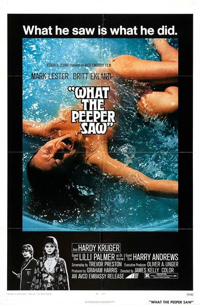 夜童（美国、英国、意大利、西班牙、西德1972年James Kelley等执导的剧情电影）