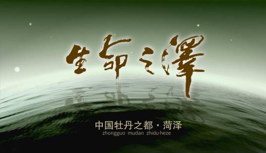 龙池(山东省菏泽市龙池)