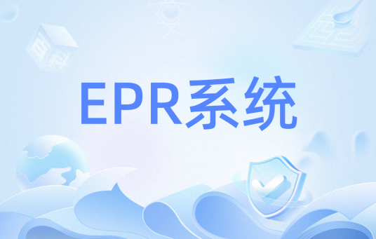 EPR系统