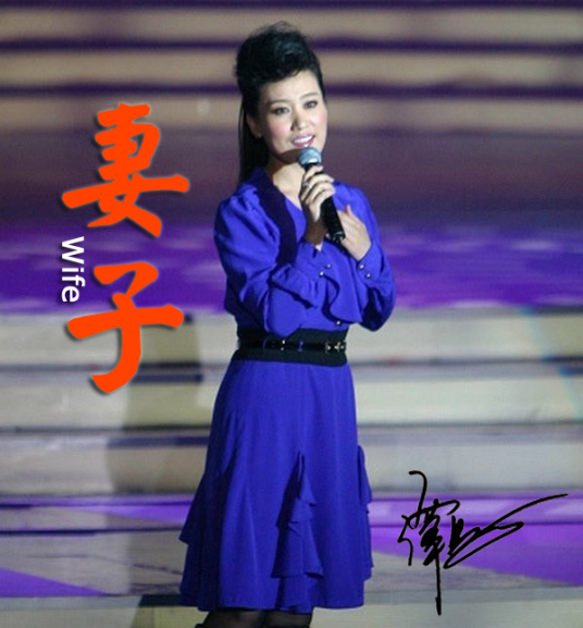 妻子（谭晶演唱歌曲）