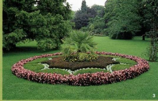 植物造景（园林设计技术）