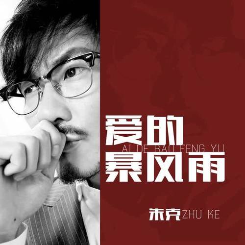 爱的暴风雨（朱克演唱歌曲）