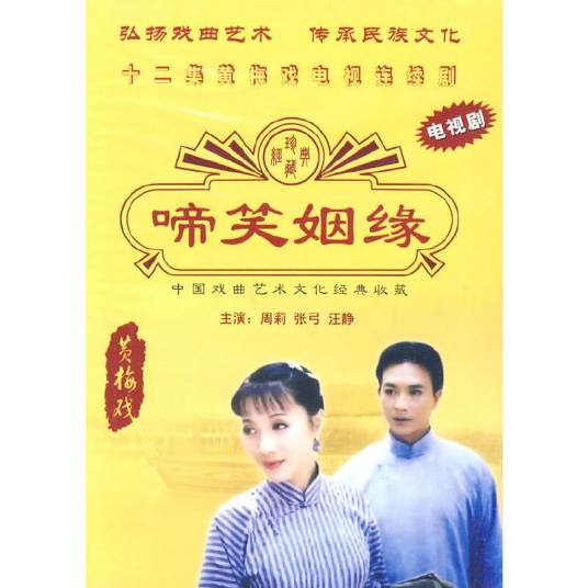 啼笑因缘（周莉等主演的黄梅戏音乐电视剧）
