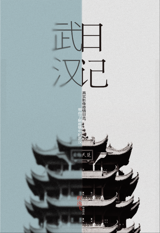 武汉日记:决战江城之巅