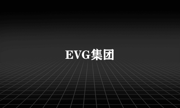 EVG集团