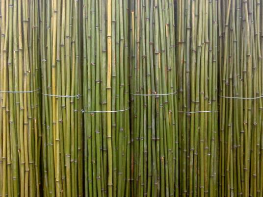 竹竿（汉语词汇）