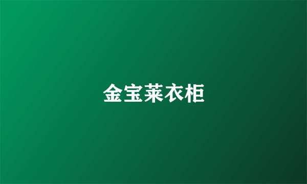 金宝莱衣柜