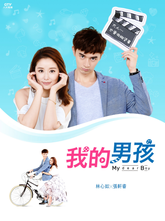 我的男孩（2017年林心如、张轩睿主演电视剧）