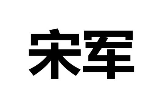 宋军（宋朝军队的简称）