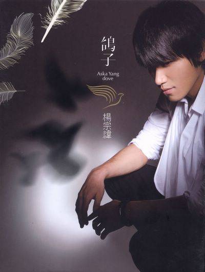 鸽子（2008年杨宗纬专辑）