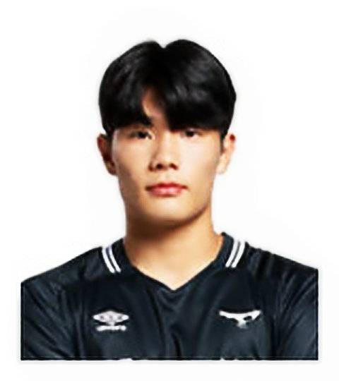 朴泰俊（韩国职业足球运动员）