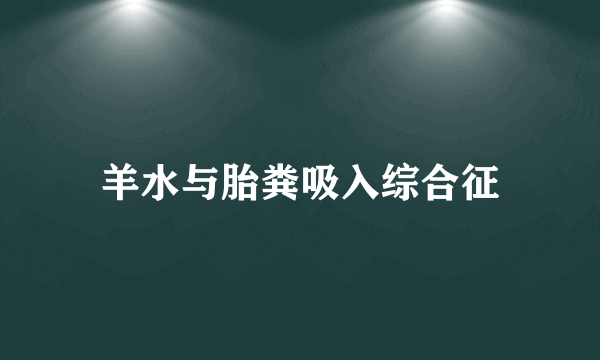 羊水与胎粪吸入综合征