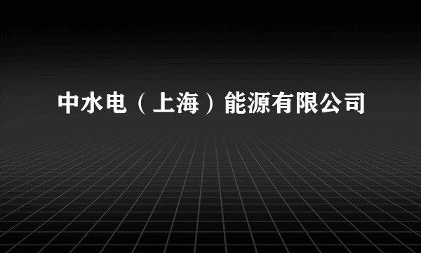 中水电（上海）能源有限公司
