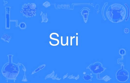 Suri（英语单词）