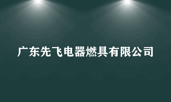 广东先飞电器燃具有限公司