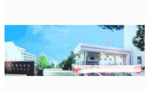 长沙鼓风机厂有限责任公司