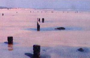 深沪湾海底森林