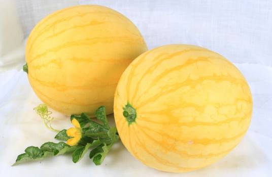 黄皮西瓜