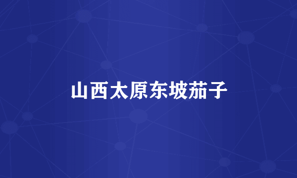 山西太原东坡茄子