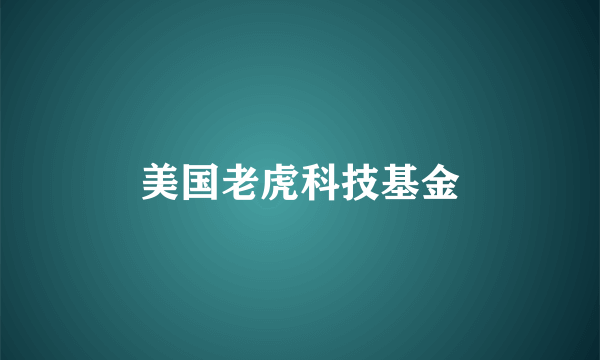 美国老虎科技基金