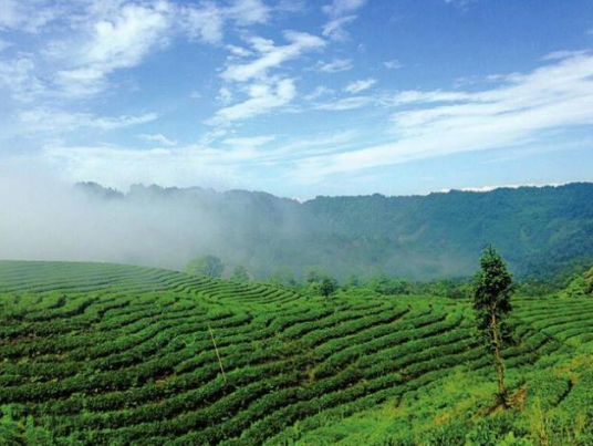 天宫山（宜宾市境内的一座山峰）